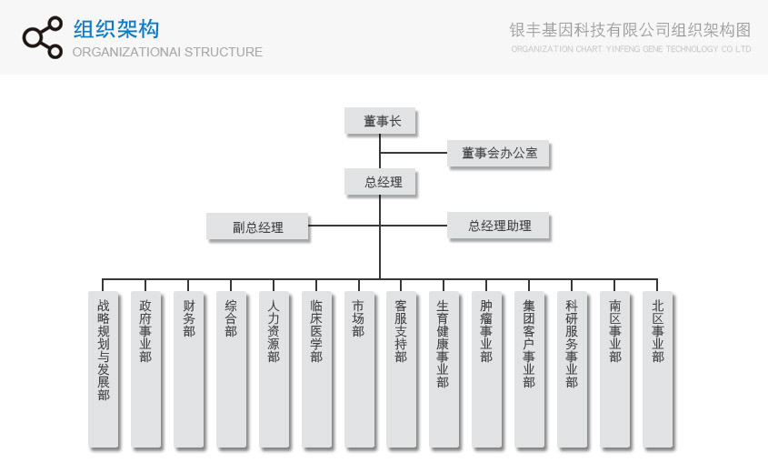 基因组织结构副本.jpg